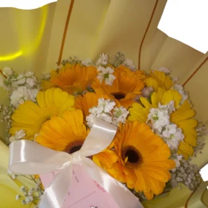 10 gerberas amarillas