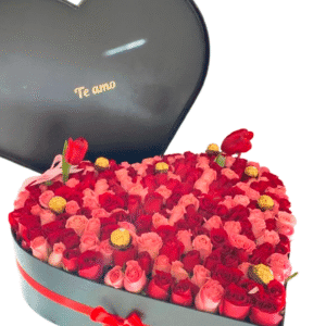 Corazón gigante de rosas