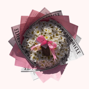 Ramo de Margaritas 🌼