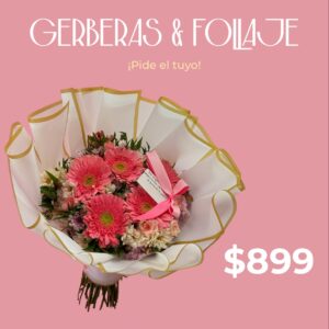 Gerberas & Follaje